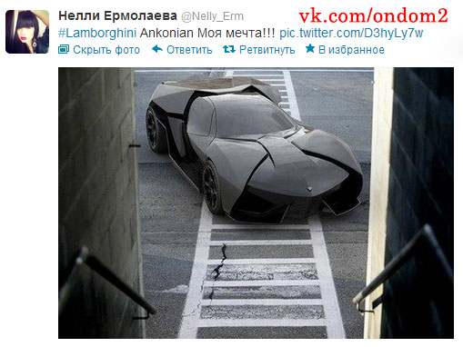 Твиттер Нелли Ермолаевой