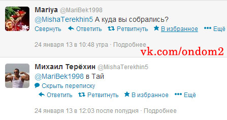 Михаил Терёхин в твиттере